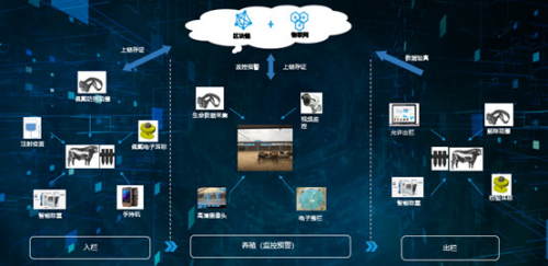 共建生态！物联网+区块链联合创新中心几大进展重磅发布