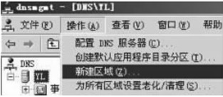 DNS服务器中创建正向查找区域并在该区域下创建主机记录