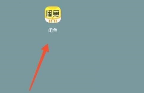 闲鱼如何查看闲鱼公约信息 查看闲鱼公约信息方