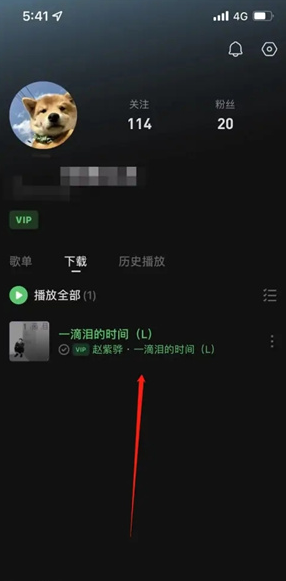 汽水音乐默认存储位置在哪里