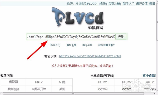 硕鼠FLV视频下载器截图