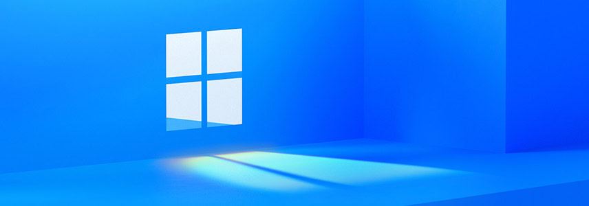 windows11选择哪个版本? Win11家庭版与专业版深度对