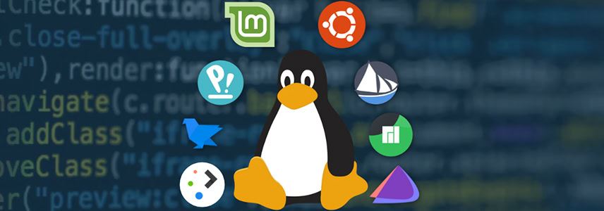 Linux版本怎么选? 2024十款最适合初学者的Linux发行