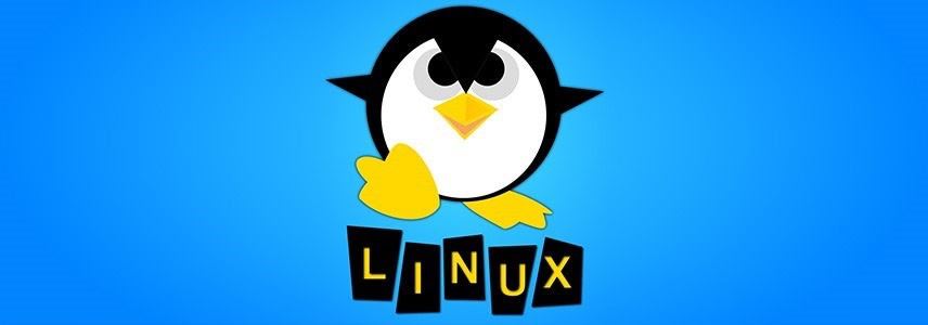 如何查看已安装的Linux内核? 命令行查看所