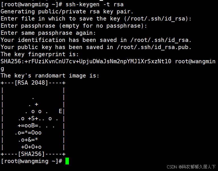 Linux中SSH远程访问和控制的实现