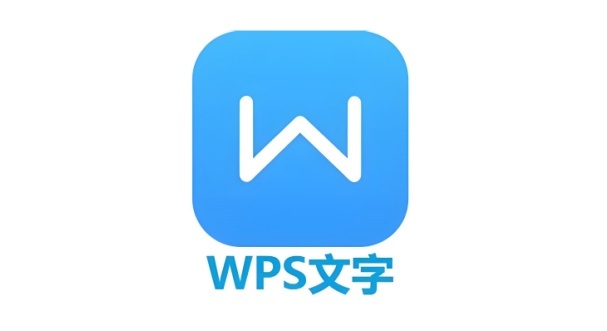 WPS文字怎么用？WPS文字中如何为录制好的宏设置