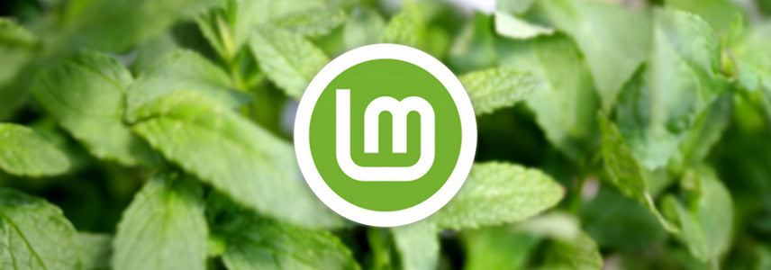 什么是 Linux Mint? 适合初学者体验的桌面操作系统