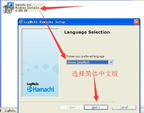 hamachi是什么？hamachi怎么联机？截图